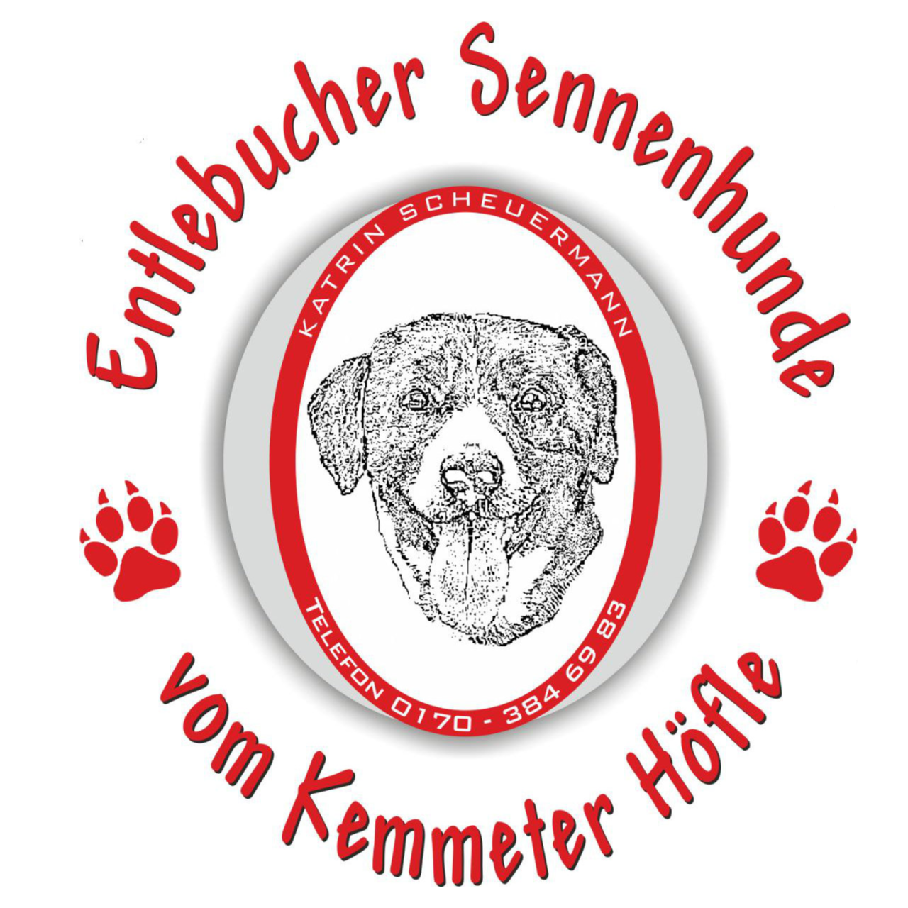 Entlebucher Sennenhunde vom Kemmeter Höfle, Katrin Scheuermann, Telefon 01703846983